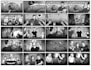 create storyboards for your film or animation or ad