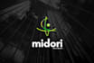 design business and professional logo design