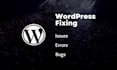 fix all types of wordpress issues, errors, and bugs