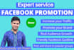 do facebook marketing and promote your business