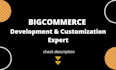 do bigcommerce store development and customization