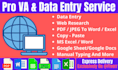 be your pro virtual assistant for any type of data entry