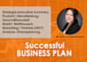 write you a successfull businessplan