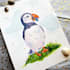 draw a pet or any animal