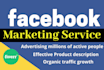 provide facebook marketing services to bring USA traffic