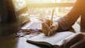 write website content in slovenian, hungarian or english