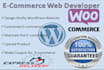 design wordpress ecommerce website