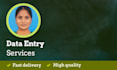 do ultimate professional data entry work within 3 hrs