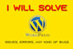 fix wordpress issues, errors or problems
