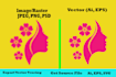 do vector tracing convert to vector redraw logo in 24 hour