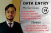 do professional data entry accurately and quickly