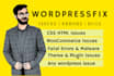 fix wordpress issues, fix wordpress errors or problem fast