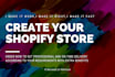 create profitable shopify store or shopify website