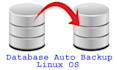 setup database auto backup functionality