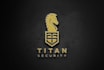 design an outstanding professional logo