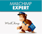 setup your mailchimp email template