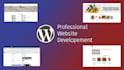 create you an outstanding, professional website