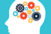 write professional sociology and history essays