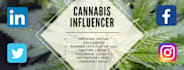 be your cannabis influencer