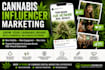 be your cannabis influencer