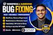 fix wordpress, elementor, hosting errors and woocommerce issues within 2 hours