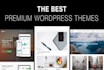 install unlimited premium wordpress themes and  plugins