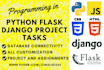 help in python django flask programming tasks and projects