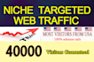 drive niche targeted web traffic most from USA