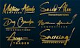 design a luxury  script,text or typography logo design