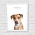 draw minimalist vector pet,dog,cat potraits