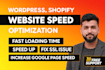 boost, speed up, optimize, wordpress website page load time