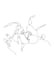 draw beautiful continuous line art in 24 hours