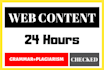 be your website content writer