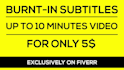 add professional synced subtitles or captions  to your video