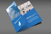 write  brochure, flyer, and company profile