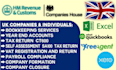 provide accounting services for UK companies and individuals
