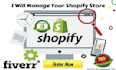design a stunning and high converting shopify store