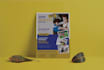 design school college university education flyers or poster in 24 hours