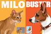 draw your dog cat or pet animals in vector art illustration