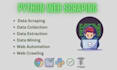 do professional python web scraping and automation