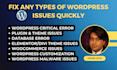 fix any wordpress issues in 24 hours