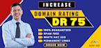 build high quality backlinks to increase domain rating DR 75