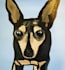 create a kawaii pet portrait digital art for you