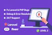 fix laravel bugs, PHP errors professionally