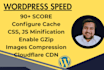 speed up wordpress website, optimize pagespeed score, increase website speed