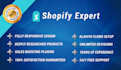 design, redesign shopify store, shopify dropshipping store, shopify website