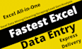 do fastest and accurate data entry microsoft excel expert VA pa