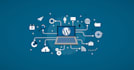 build a professional website to showcase your business