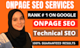 do website onpage SEO and technical optimization service of wordpress site