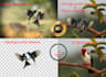 remove background and object manually in 2hours
